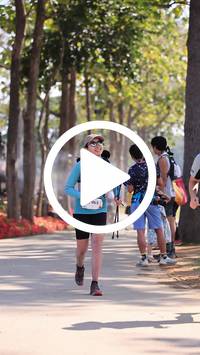 BIB:  <button type="button" onclick="openModal(27614668)" class="btn btn-primary btn-sm float-right" data-toggle="modal" data-target=".modal-high-quality">
                <i class="fa fa-download"></i> Download
                </button>